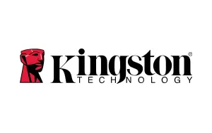 Kingston Brand Kingston